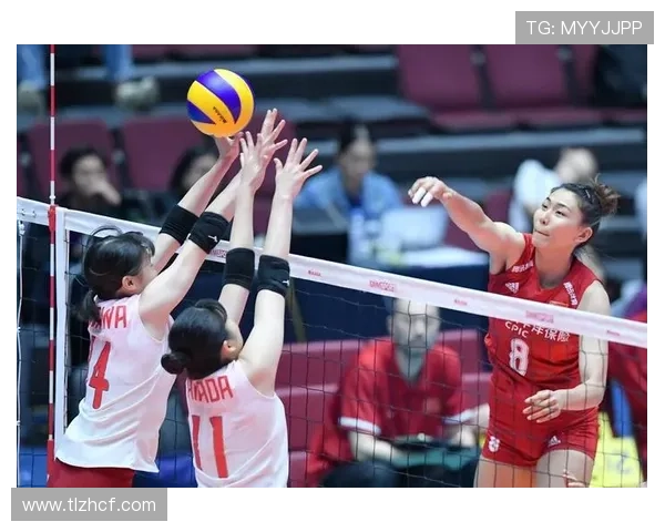 南京排球队战术之争引发热议球迷与专家观点交锋